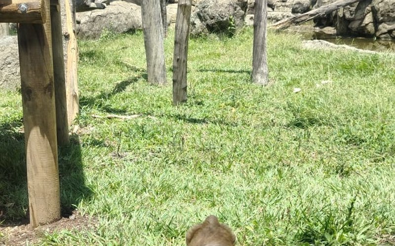 Bioparque Ukumarí