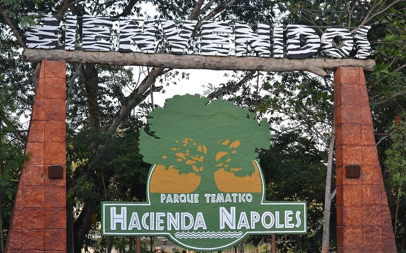 Medellín Alumbrados y Guatapé