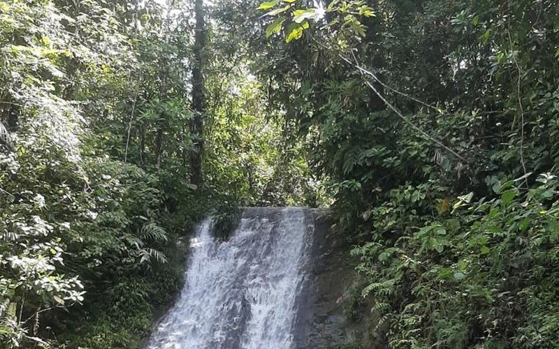 Río Danubio