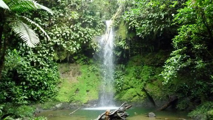 Valle-del-cauca-buenaventura-reserva-natural-rio-san-cipriano-