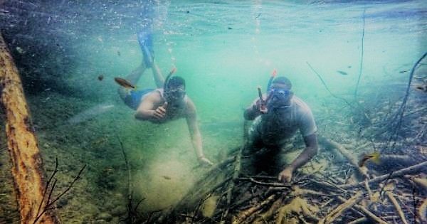 san-cipriano-buceo